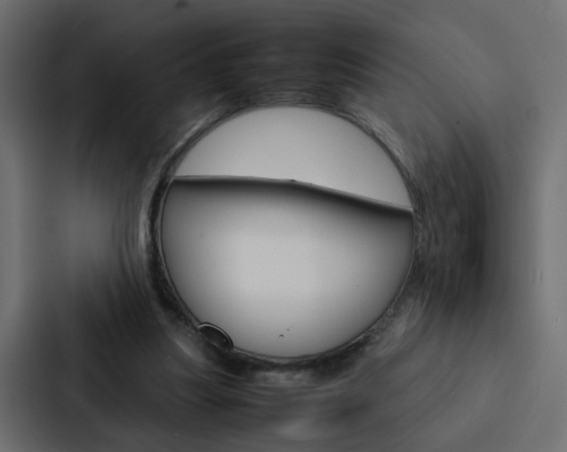 X0000088230251200705151054