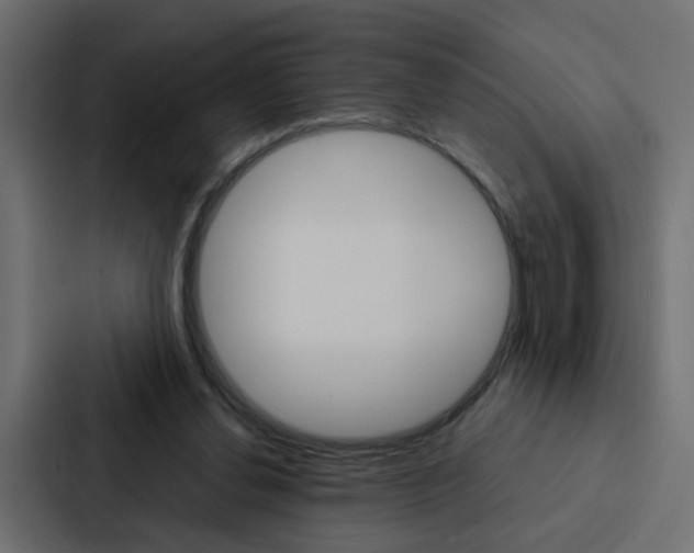 X0000088230252200705151054