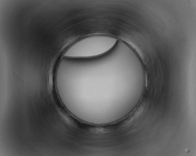 X0000088230253200705151054