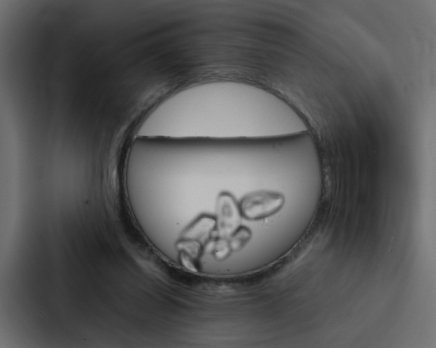 X0000088230254200705151054