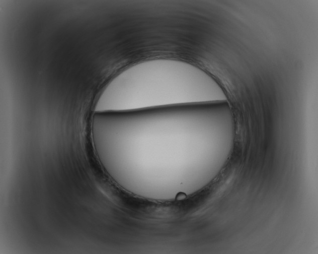 X0000088230255200705151054