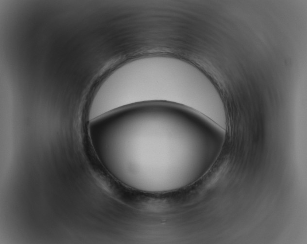 X0000088230256200705151054
