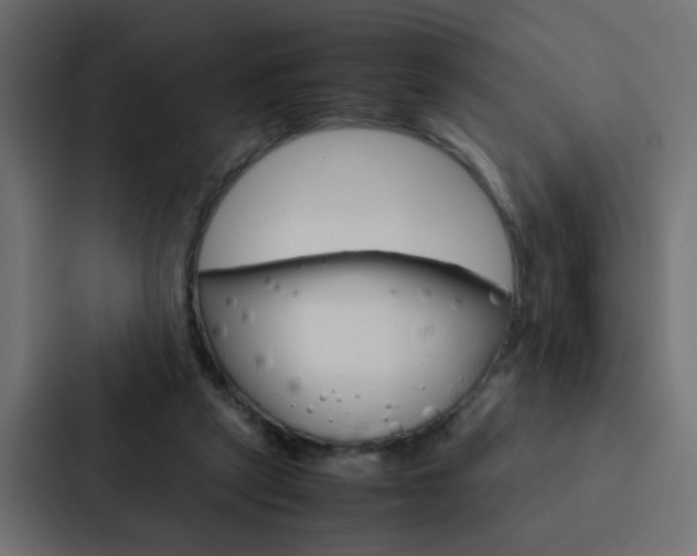 X0000088230257200705151054