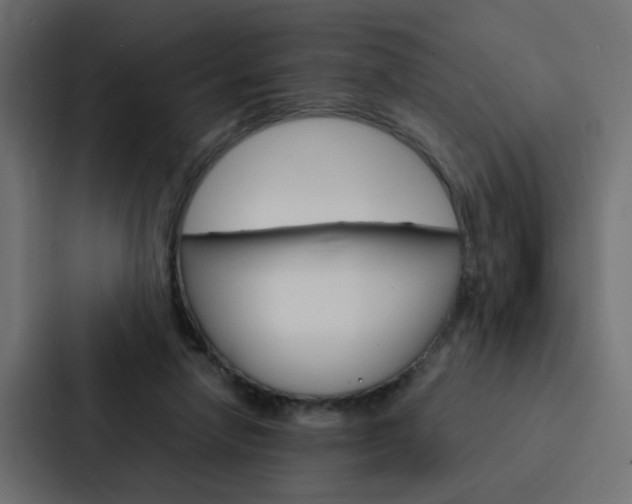 X0000088230258200705151054