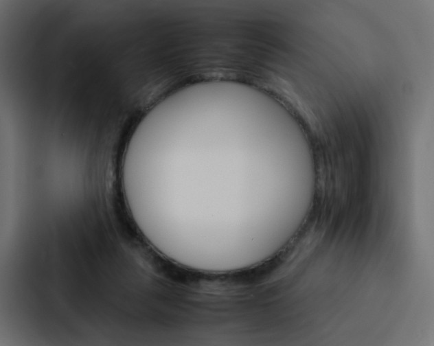 X0000088230259200705151054