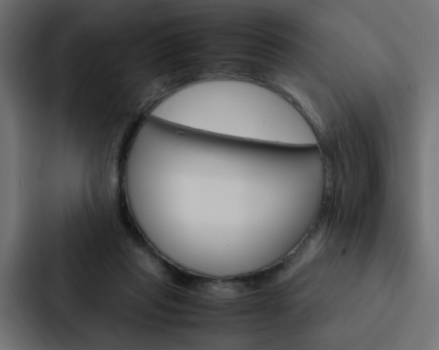 X0000088230261200705151055
