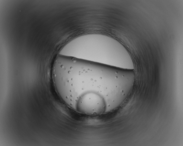 X0000088230262200705151055