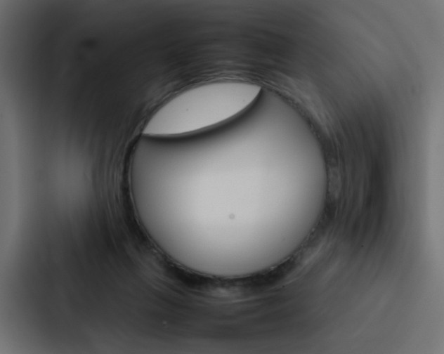 X0000088230263200705151055