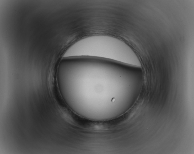 X0000088230264200705151055
