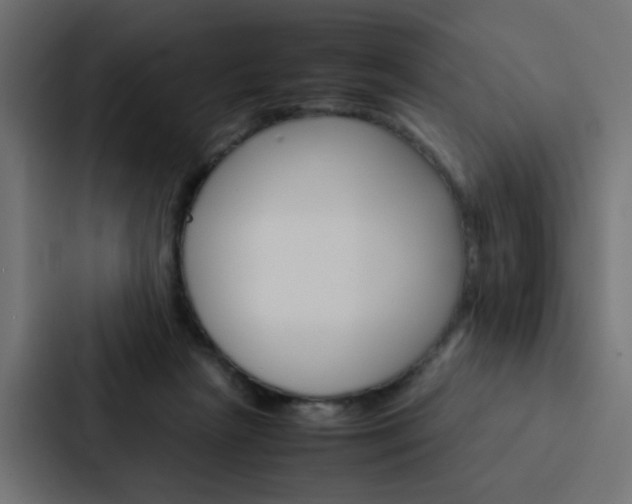 X0000088230265200705151055