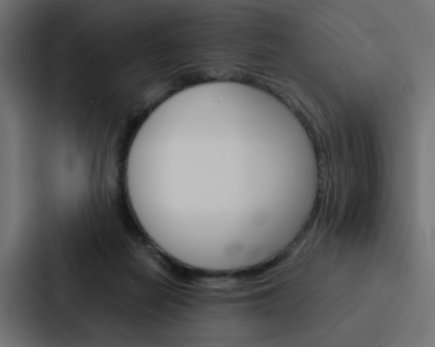 X0000088230266200705151055
