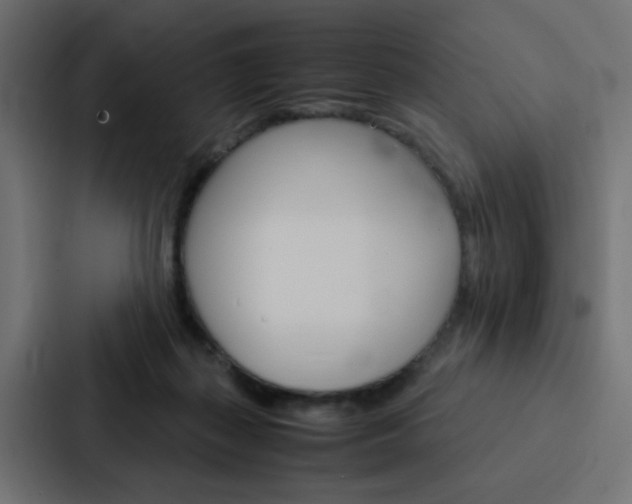 X0000088230267200705151055