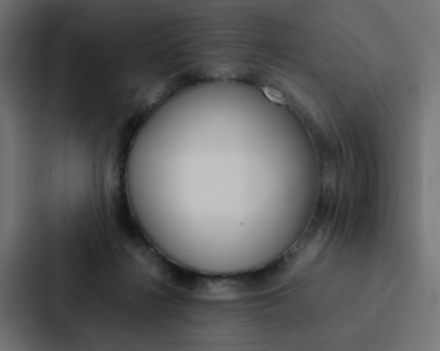 X0000088230268200705151055