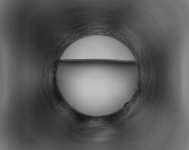 X0000088230271200705151055