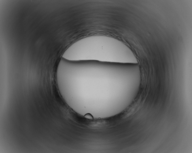 X0000088230274200705151055