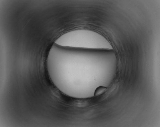 X0000088230275200705151055