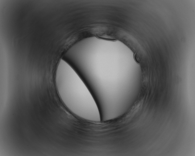 X0000088230277200705151055