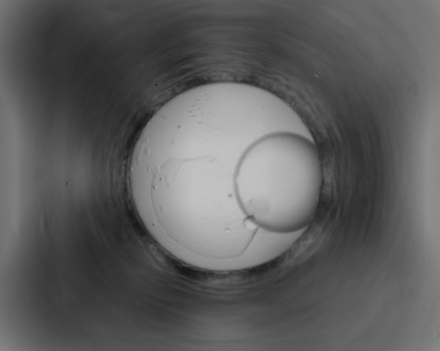 X0000088230278200705151055
