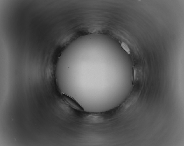 X0000088230280200705151055