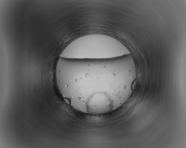 X0000088230282200705151055