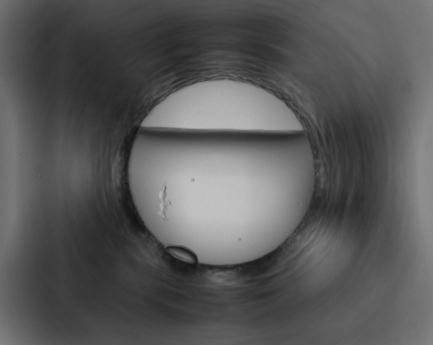 X0000088230283200705151055