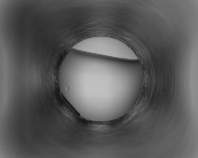 X0000088230284200705151055