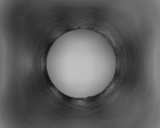 X0000088230285200705151055