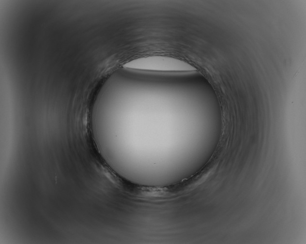 X0000088230288200705151055