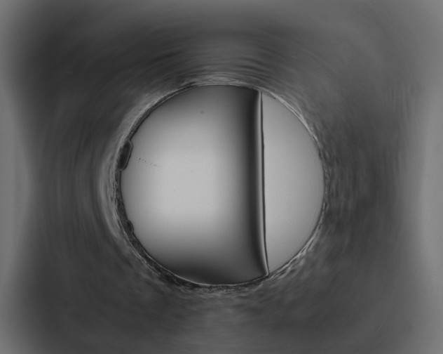 X0000088230289200705151054