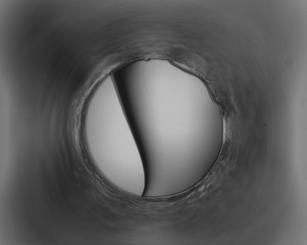 X0000088230291200705151054