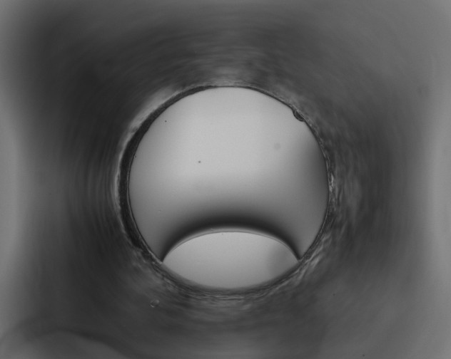 X0000088230292200705151054