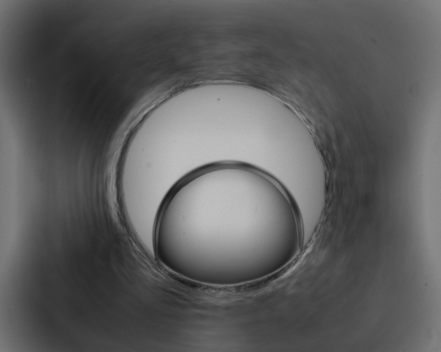 X0000088230293200705151054