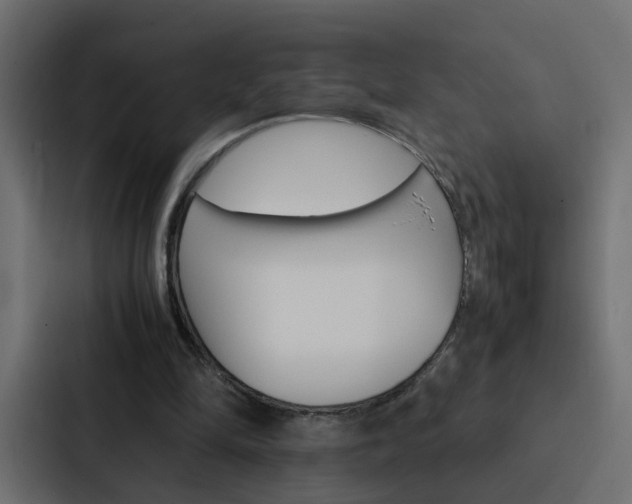 X0000088230294200705151054