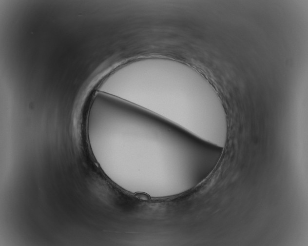 X0000088230295200705151054