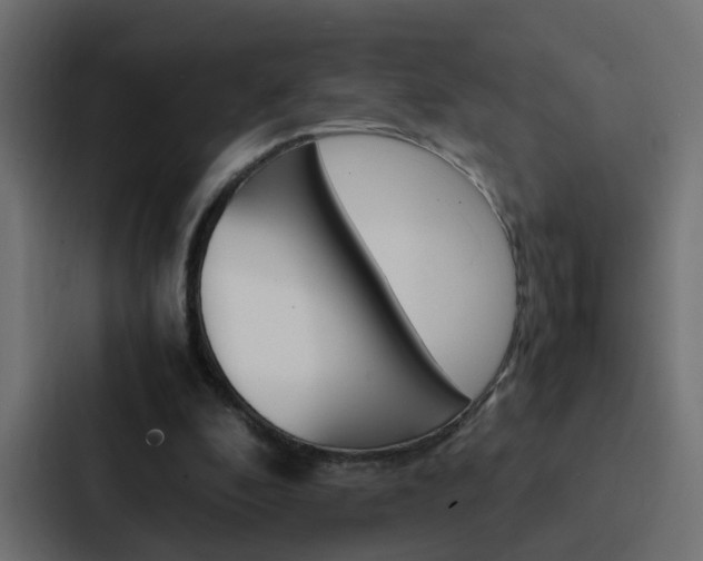 X0000088230296200705151054