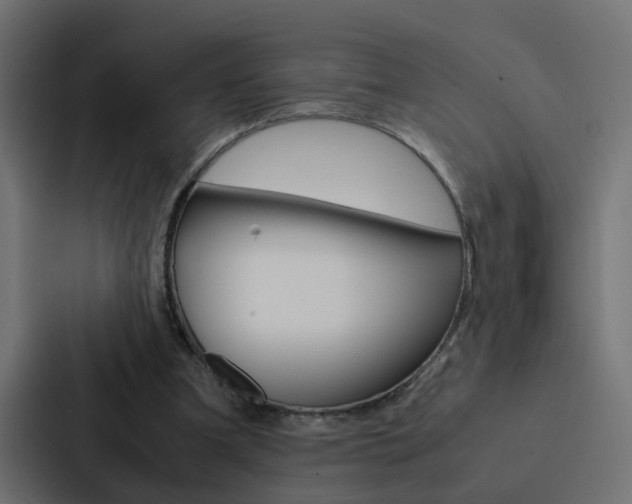 X0000088230297200705151054