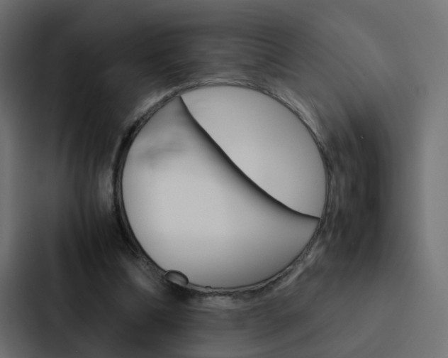 X0000088230298200705151054
