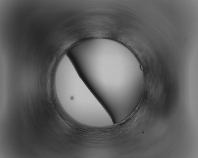 X0000088230299200705151054