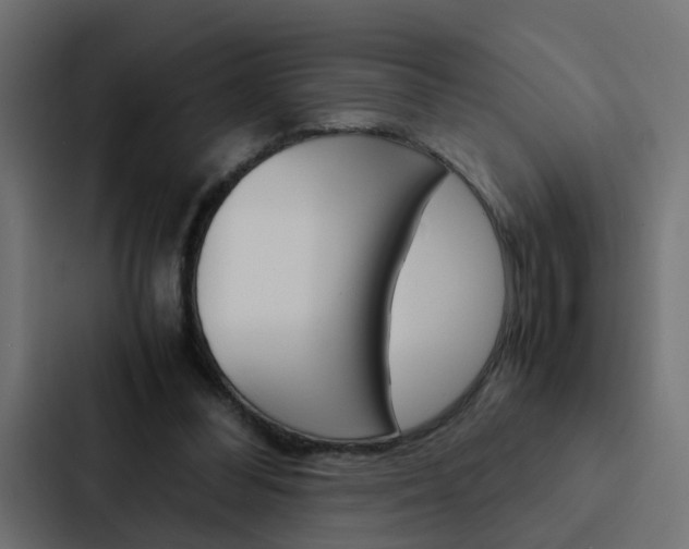 X0000088230300200705151054