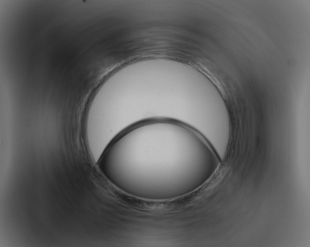 X0000088230301200705151054