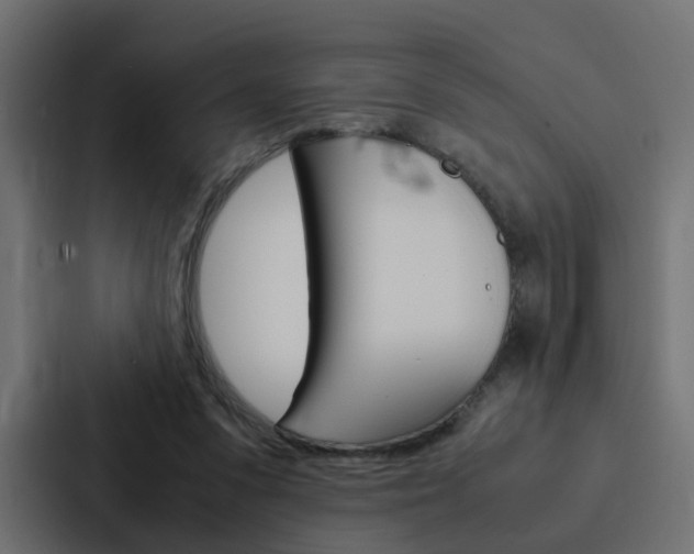 X0000088230303200705151054