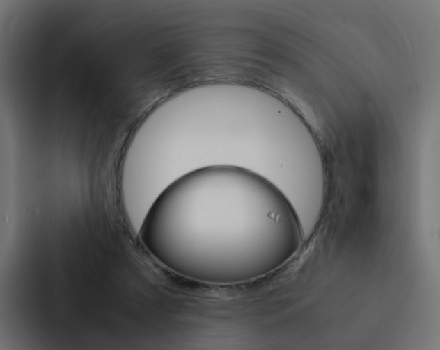 X0000088230305200705151054