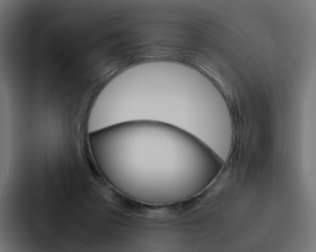 X0000088230309200705151054