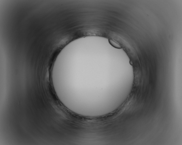 X0000088230310200705151054