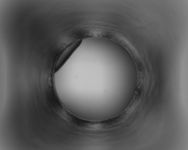 X0000088230313200705151054