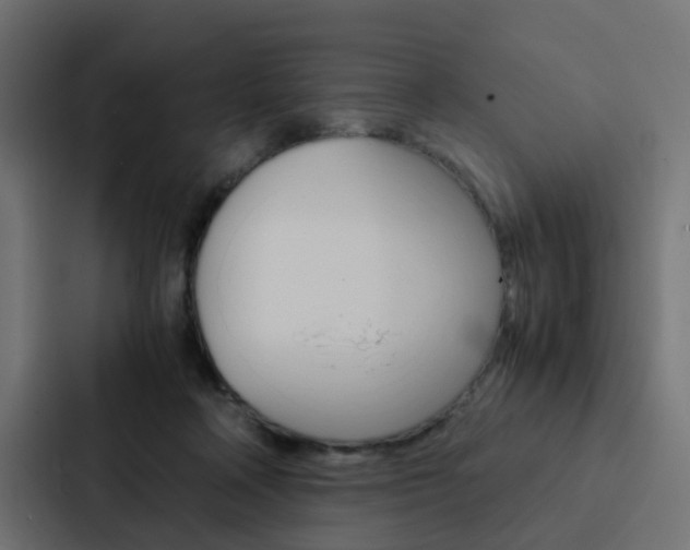 X0000088230314200705151054