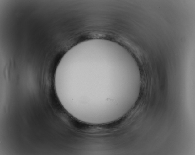 X0000088230315200705151054