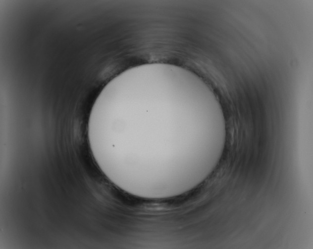 X0000088230316200705151054