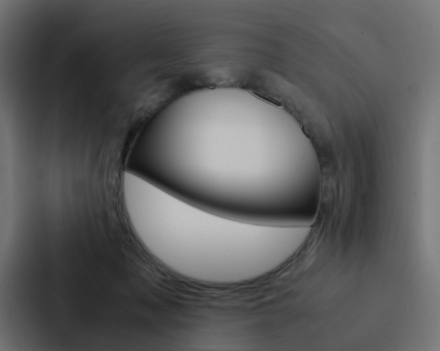 X0000088230317200705151054