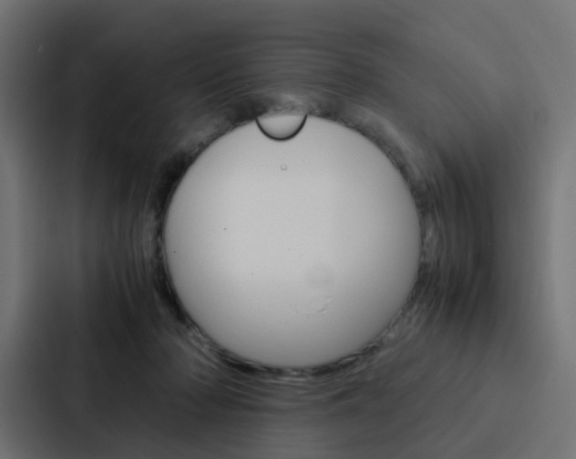 X0000088230318200705151054
